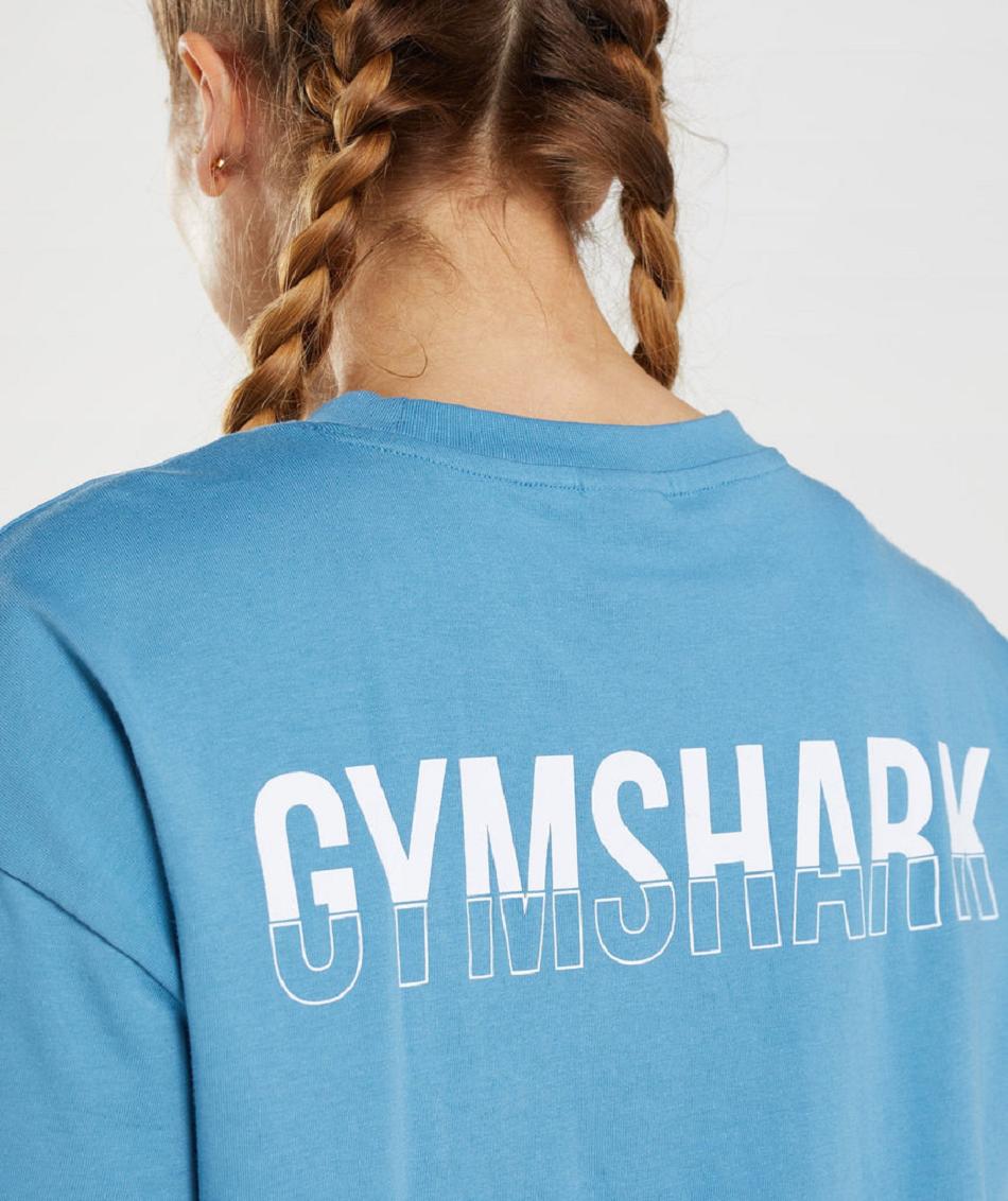 Gymshark Fraction Oversized Ženske T Shirts Plave | HR 3284GSO